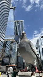 IMG_0573